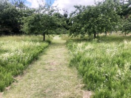 Großer Garten Gerswalde