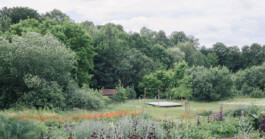 Großer Garten Gerswalde
