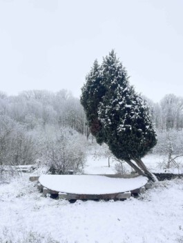 Großer Garten Gerswalde