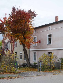 Großer Garten Gerswalde