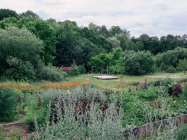 Großer Garten Gerswalde