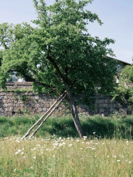 Großer Garten Gerswalde