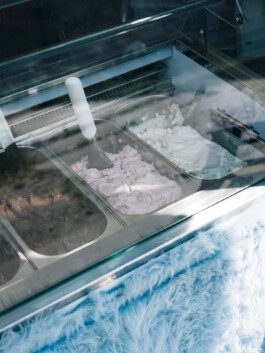 Großer Garten Gerswalde